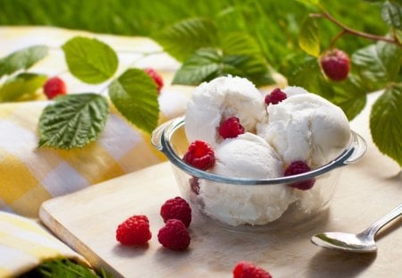 Ice cream with raspberries - spoon, ice cream, bowl, picnic, raspberries, leaf, fruit, nature, leaves, green, food, grass, refresh