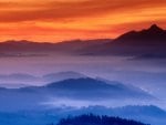 fog in a valley in basque country spain