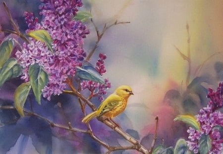 yellow bird perched on branch - leaves, purple, yellow bird, flowers