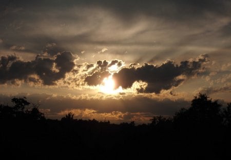 Sunset - golden, sunset, light, contrast