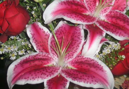 Flowers for a special occasion 02 - white, roses, lily, red, photography, green, flowers