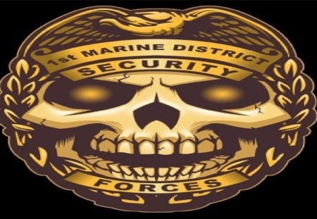 1st Marine District Security - marines, usmc, marine corps, recon