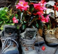 Flower Shoes.