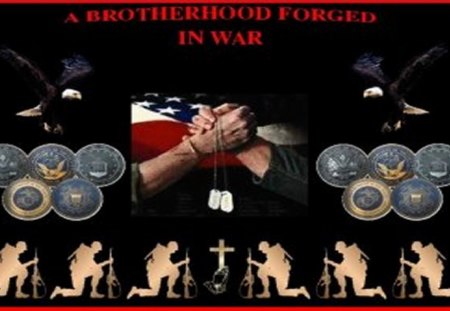 Brotherhood Forged In War - usa, uscg, usaf, usn, usmc