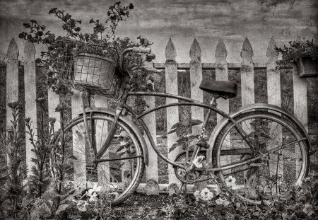 LIFE IS LIKE RIDING A BICYCLE - flowers, bike, style, photography, bw, life