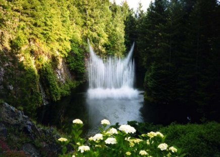 Forest Waterfalls - flowers, waterfalls, trees, water, waterfall, forest, rocks