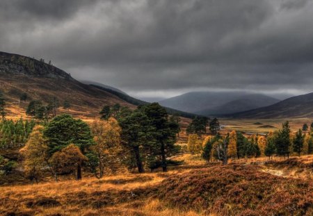 3d nature art - fields, mountains, sky, trees