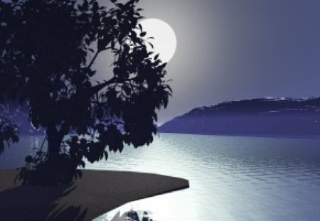 hidden moon - moon, water, sky, tree