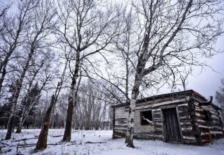 Cabin-Winter scene - entertainment, cabin, people, snow