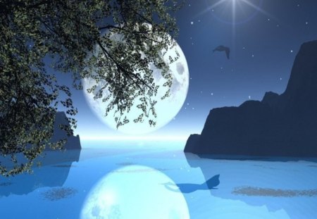 moon lake - moon, water, tree, stars