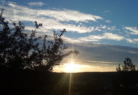 Sunset - sky, under, tree, sun