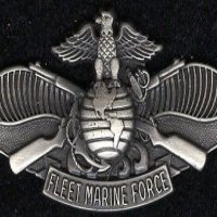 Fleet Marine Force