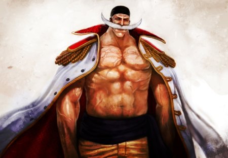 the big boss pirate - manga, anime, one piece, shiroge