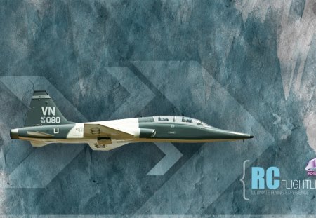 Northrop T-38 Talon - Remote Control - trainer, jet, rc, fighter, plane, remote, airplane, aircraft, controlled, t-38, t38, military, northrop, radio, talon