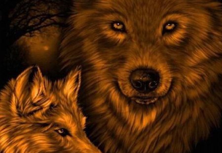 Golden Wolves - wolves, abstract, animals, fantasy, other