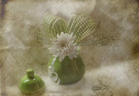 still life - white, design, flower, soft