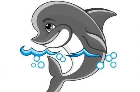 Cute dolphin - happiness, water, dolphin, cute, joy