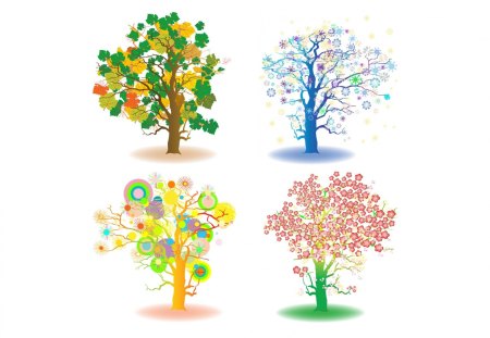 Four seasons trees - summer, fall, winter, spring, autum, tree