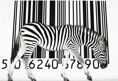 BIZARRE BARCODE - zebras, antelope, abstract, animals, stripes, commerce, black and white, africa