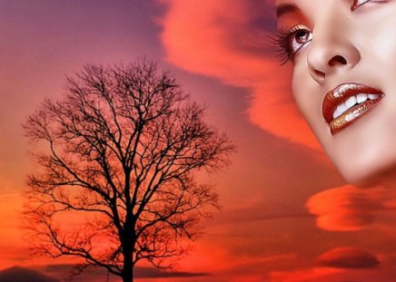 orange sky - beauty, tree, clouds, eyes