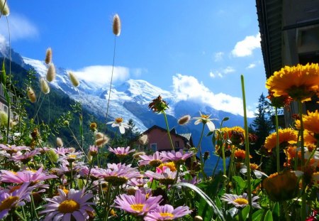 Mountain rest - pretty, relax, cabin, mountain, flowers, holiday, hotel, cottage, sky, clouds, house, beautiful, lovely, rest, simmer, nature, peaceful