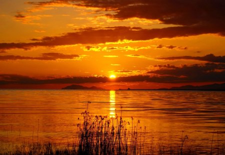 Amazing sunset - ocean, sky, sundown, sun, shore, sunset, lovely, nature, amazing, pretty, reflection, clouds, orange, sun path, sea, sunrise