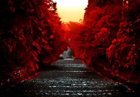 Path between fiery trees - alley, summer, forest, steps, leaves, path, fire, red, sky, branches, trees, road, glow, stairs, nature, autumn, fiery, park