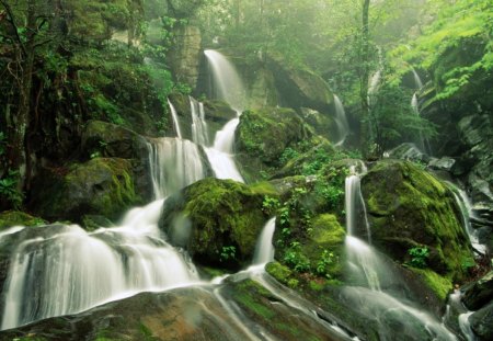 CACHOEIRAS - agua, cachoeira, natureza, arvores, verde