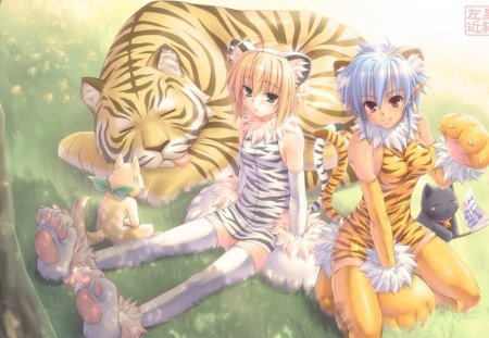 Kawaii - girls, kawaii, female, animal, anime, tiger