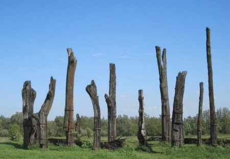 Ancient trees - nature, trees, blue, river