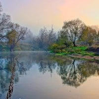 Autumn Morning in the River