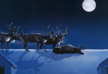 sleeping on the job - house, moon, roof, deer