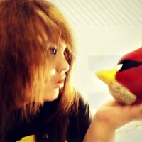 Angry Birds ~ Scene Girl