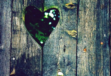 Wood Wall Heart - wooden, heart, wood, fence, wall