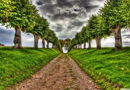 dirt-road - fields, trees, nature, clouds