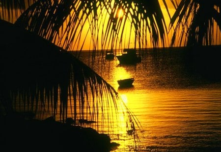 Tropical glow - palm branches, yellow, boat, reflection, exotic, golden, sky, palms, water, beautiful, sea, orange, ocean, tropics, glow, nature, tropical, palm tree