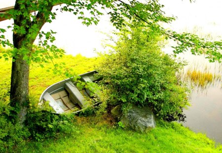 Misty lake - calm, boat, bushes, grass, calmness, riverbank, abandones, mist, lake, forgotten, greenery, branches, trees, water, fog, beautiful, pond, river, nature, green, peaceful