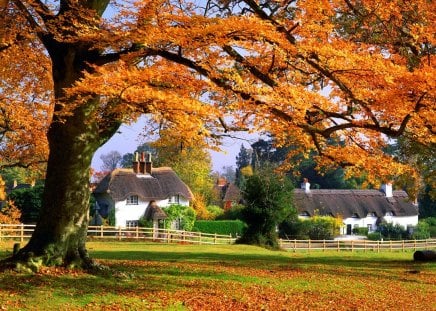 Small english town - calm, summer, town, grass, calmness, england, countryside, garden, houses, english, branches, trees, beautiful, small, rustic, village, nature, autumn, bright, serenity, cottages, peaceful, park