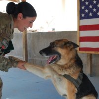 Morgan Chami and K9 Heroes