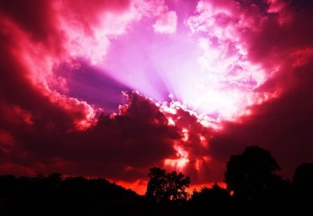 Amazing Sky - amazing, splendor, landscape, sunrays, red, sky, sun, clouds, sunlight, trees, beautiful, sunbeams, red sunset, beauty, lovely, tree, nature, sunset, rays, peaceful