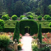 The Maze at Chatworth Gardens