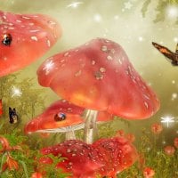 Mystical Mushrooms