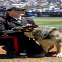 Marine Cpl. and Purple Heart recipient Megan Leavey and combat dog Sgt. Rex