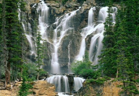 Tangle Creek Falls, Jasper National Park, Canada - trees, falls, day, daylight, water, waterfalls, evergreens, nature, brown, green, canada, rock