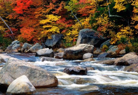 Autumn River - autumn, rapid, trees, daylight, day, water, rocks, nature, white, forest, yellow, red, river, orange, colors