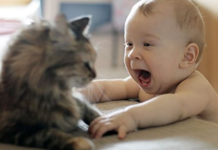 Baby joy - funny, cute, animals, baby, cat, adorable, kitty, kitten, pet