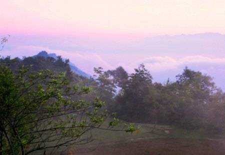 The dawn clouds - the dawn, clouds, dew, layers of mountains, mountain, tree