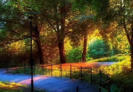 colorful park - trees, fence, light, walkway