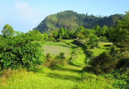 Mountain trekking - trekking, mountain, fresh air, pleasant scenery