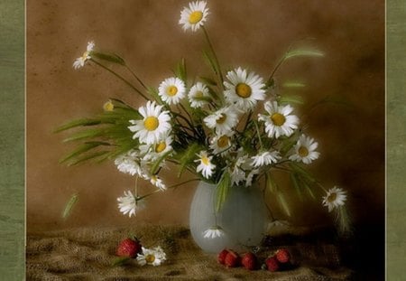 Daisies Still life - still life, daisies, petals, vase